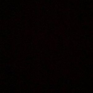 Meet your Posher, Philip